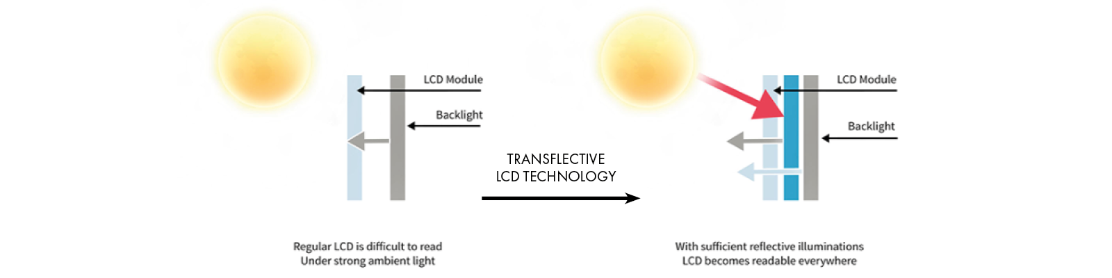 Transflective LCD